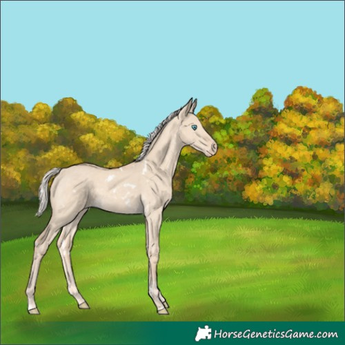 Horse Color:White Spotted Cremello Dun Sabino
