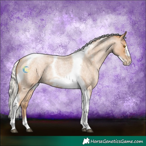 Horse Color:Silver Blue Roan Pearl Tobiano Frame