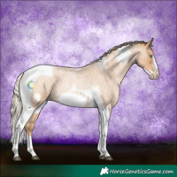 Horse Color:Red Roan Pearl Tobiano Frame