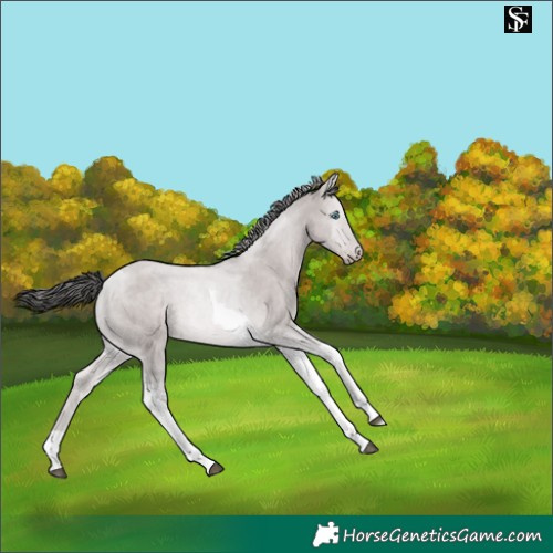 Horse Color:Platinum Liver Red Dun Tobiano