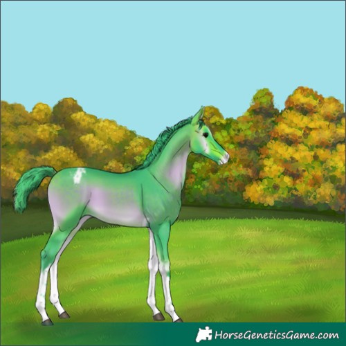 Horse Color:Watercolor Buckskin Onyx Tobiano Varnish 