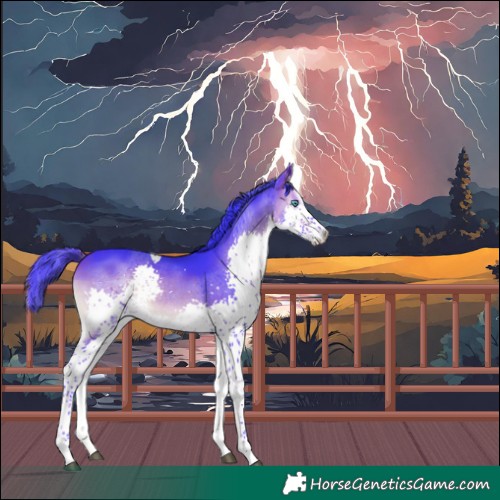 Horse Color:Watercolor Brown Onyx Splash Tobiano