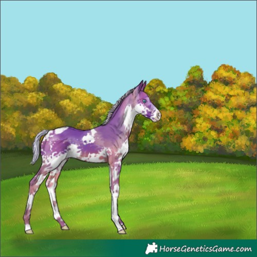 Horse Color:Watercolor Silver Brown Splash Tobiano 