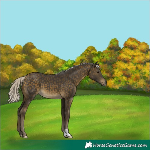 Horse Color:Silver Buckskin