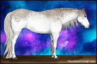 Horse Color:White Spotted Silver Smoky Black Rabicano