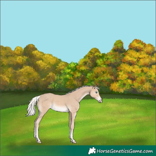 Horse Color:Silver Smoky Creme Tobiano 