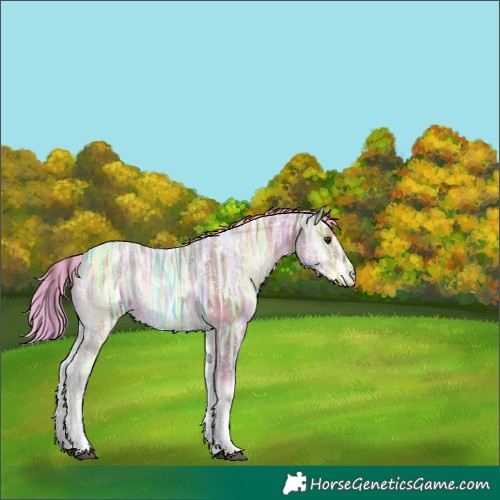 Horse Color:Painted Red Onyx Ice Sabino Tobiano Rabicano