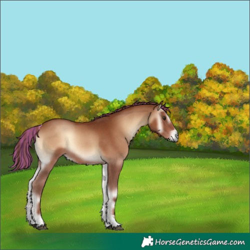 Horse Color:Painted Red Onyx Sabino Tobiano Rabicano