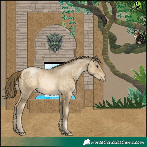 Horse Color:Buckskin Pearl