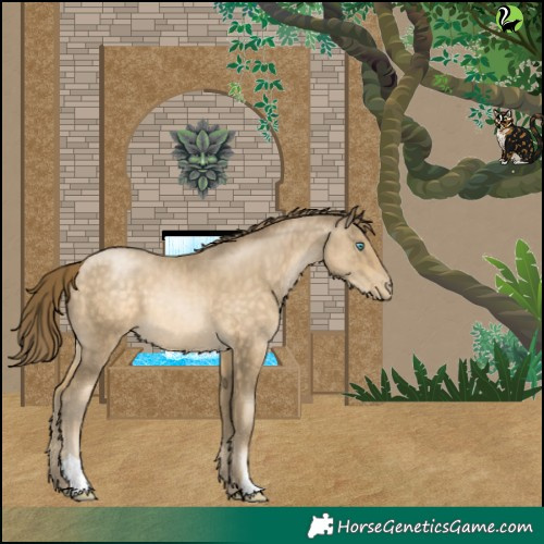 Horse Color:Buckskin Pearl