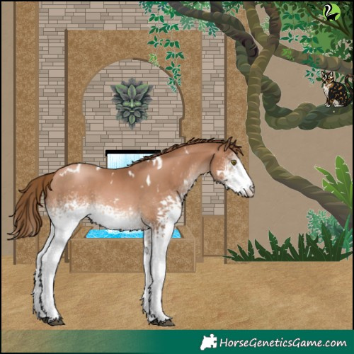 Horse Color:White Spotted Liver Chestnut Pearl
