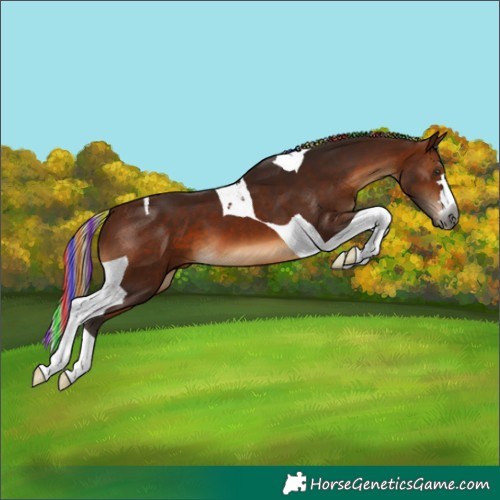 Horse Color:Gray Painted Silver Bay Tobiano 