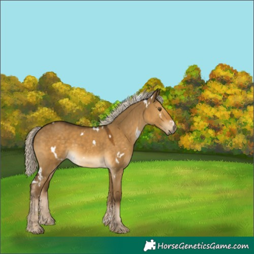 Horse Color:White Spotted Chocolate Palomino Dun Mushroom 