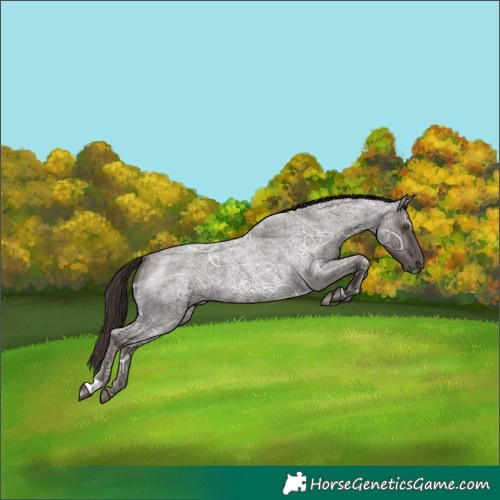 Horse Color:Liver Red Ice Roan 