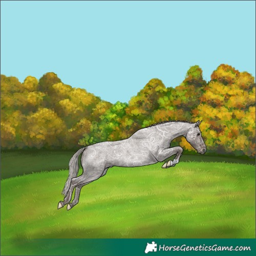 Horse Color:Silver Blue Ice Roan 