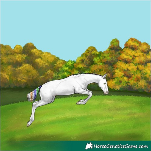 Horse Color:Painted Silver Amber Champagne Dun Sabino Splash Blanket