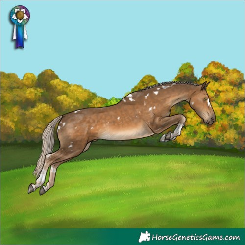 Horse Color:White Spotted Chocolate Palomino Tobiano