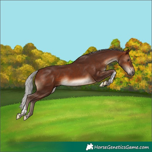 Horse Color:Silver Bay Tobiano 