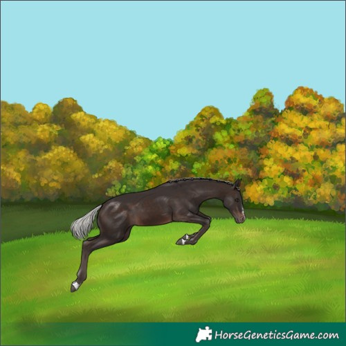 Horse Color:Silver Brown Mushroom 