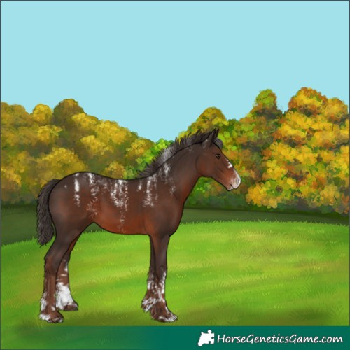 Horse Color:Powder White Liver Chestnut