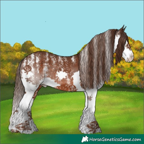 Horse Color:Powder White Liver Chestnut Splash Blanket