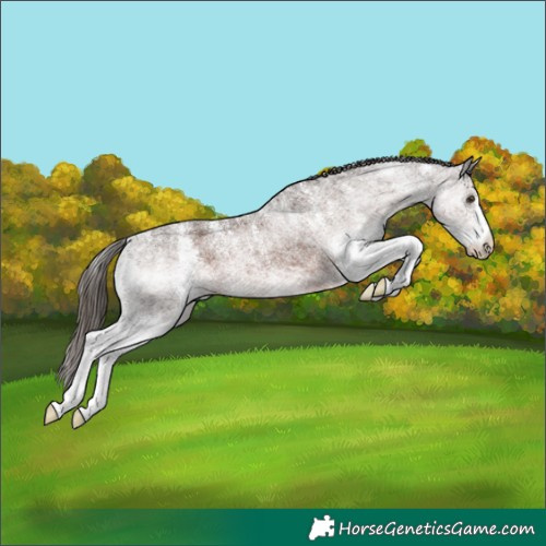 Horse Color:Powder White White Spotted Liver Chestnut 