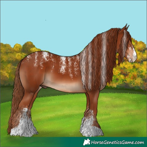 Horse Color:Powder White Chestnut 