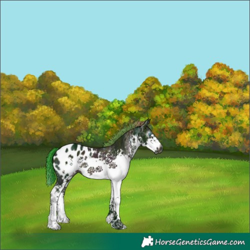 Horse Color:Gray Watercolor Midnight Bay Ice Splash Frame Blanket Rabicano