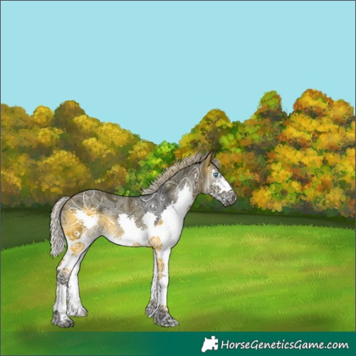 Horse Color:Gray Silver Buckskin Ice Splash Varnish Rabicano