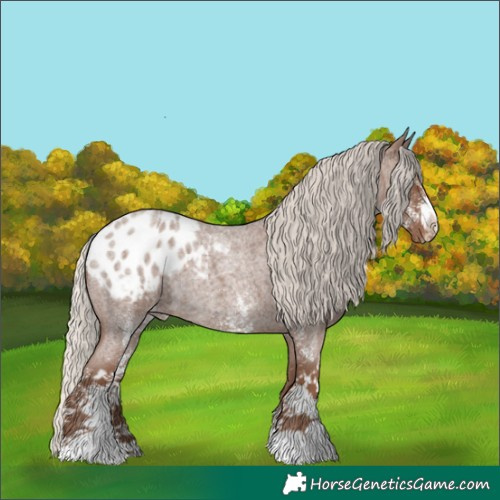 Horse Color:White Spotted Silver Blue Roan Blanket Rabicano 