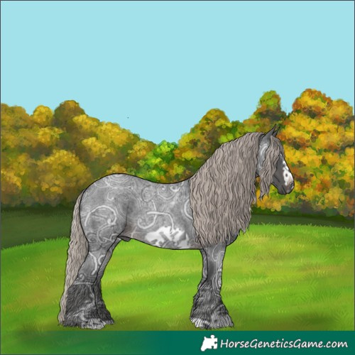 Horse Color:Gray Silver Brown Ice Roan Frame Rabicano 