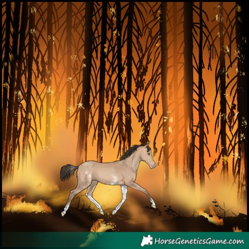Horse Color:White Spotted Amber Champagne 