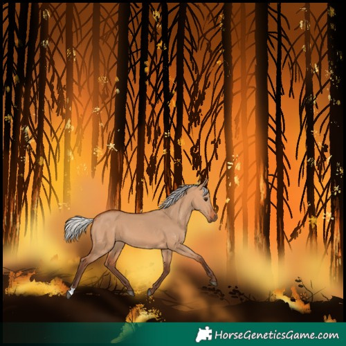 Horse Color:Silver Bay Dun