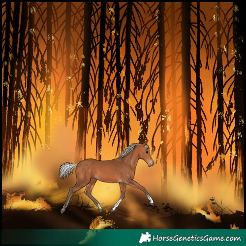 Horse Color:Silver Bay Tobiano 
