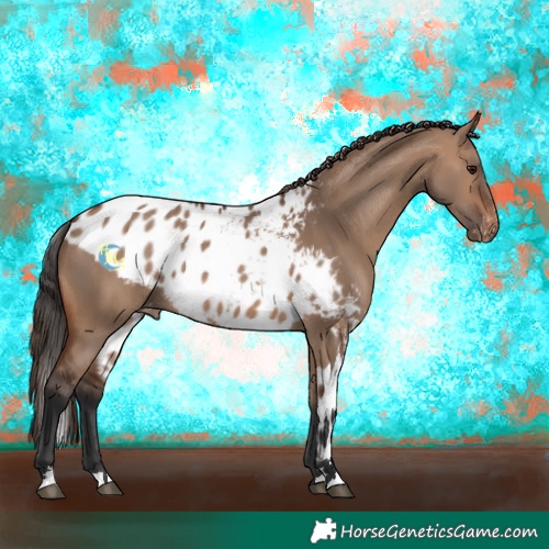 Horse Color:Brown Dun Skewed LP Spotted