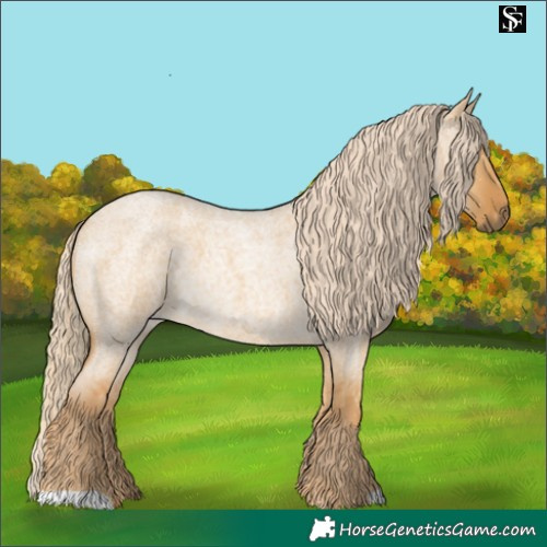 Horse Color:Palomino Roan Dun