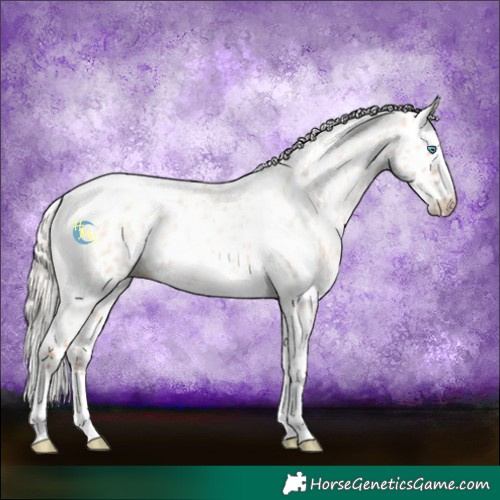Horse Color:Silver Amber Champagne Roan Dun Splash Tobiano Frame Leopard Rabicano 