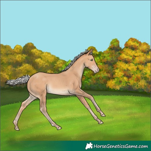 Horse Color:Silver Amber Champagne 
