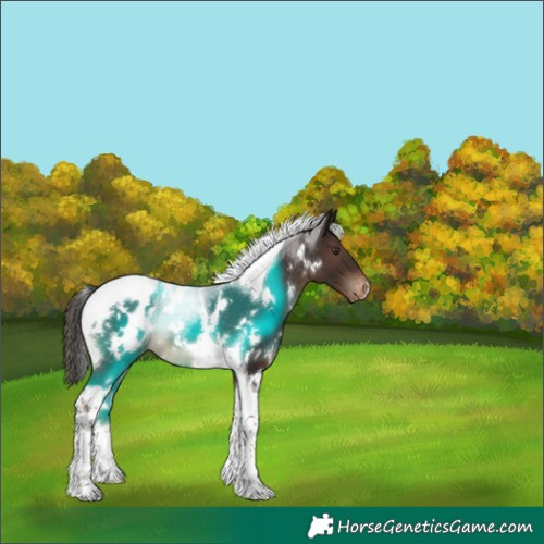 Horse Color:White Spotted Liver Chestnut Tobiano Blanket Rabicano