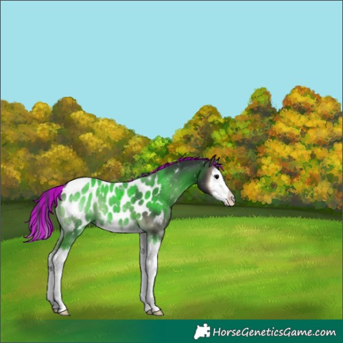 Horse Color:Painted Blue Onyx Splash Near Leopard