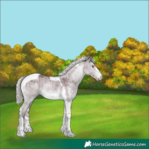 Horse Color:White Spotted Chocolate Silver Brown Chinchilla Dun Tobiano Brindle