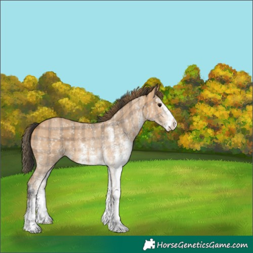 Horse Color:Plaid White Spotted Bay
