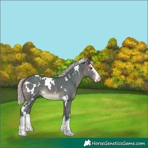 Horse Color:Watercolor White Spotted Silver Brown Splash