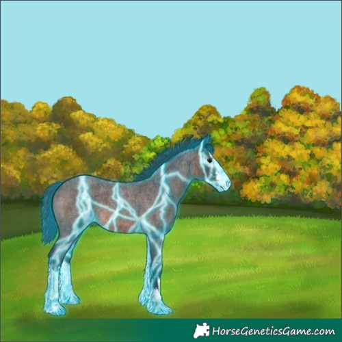 Horse Color:Thunderstruck White Spotted Brown Roan