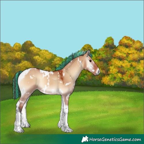 Horse Color:Painted White Spotted Bay Onyx Tobiano