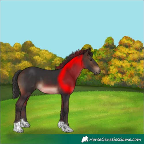 Horse Color:Brown Tobiano Rabicano 