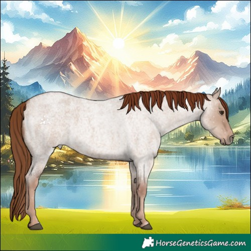 Horse Color:Red Dun Roan