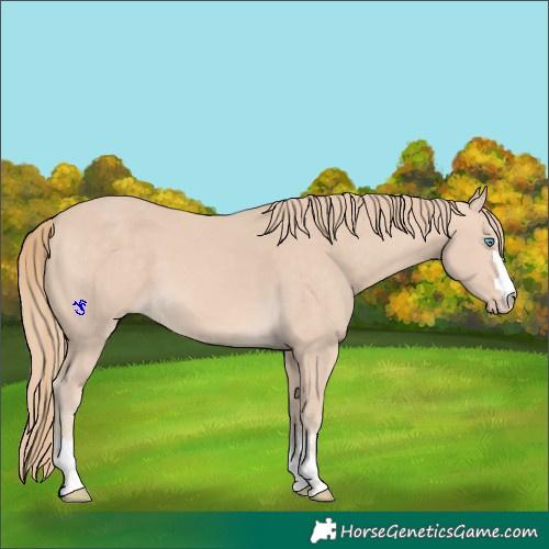 Horse Color:Perlino