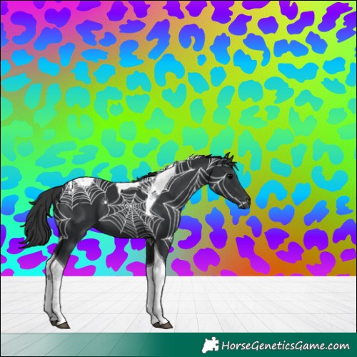 Horse Color:Black Tobiano 