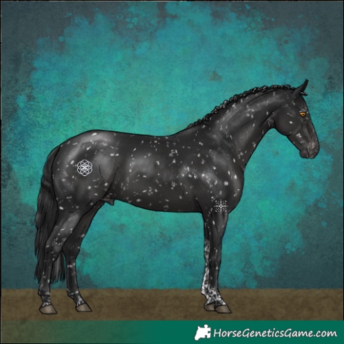 Horse Color:Gray Black Tobiano Snowflake Varnish Rabicano